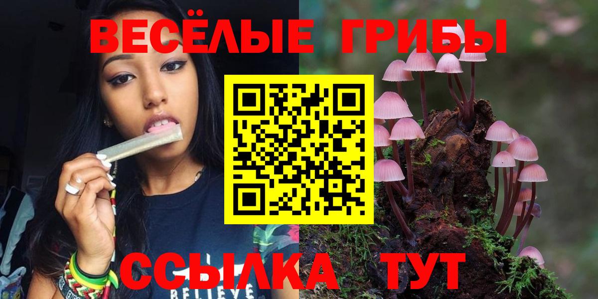 Псилоцибиновые грибы Psilocybe  Вход с VPN  Псилоцибиновые грибы Magic Shrooms  Орехово-Зуево 